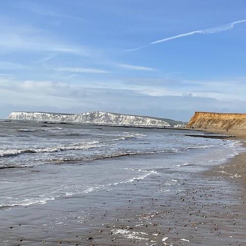 A Day on Dinosaur Island - Finding Fossils on the Isle of Wight by Robin Van Auken
