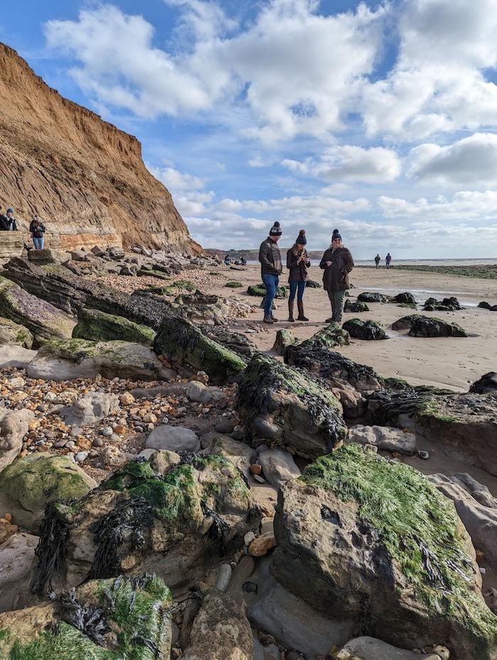 Finding Fossils on the Isle of Wight