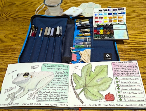 Have You Tried Nature Art Journaling?